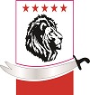 Bright Line-Solution logo